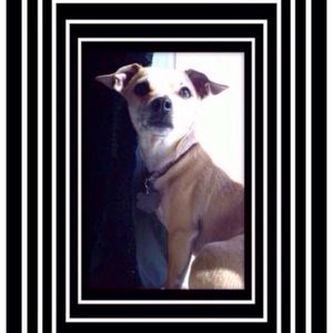 Meet your Posher, Trinity